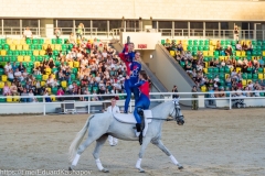 dsc_3134-large